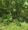 1111 Hwy 3285 - Photo 1