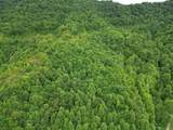 9999 King Fork Road - Photo 5