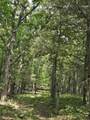 2607 Royalty Ridge Road - Photo 1