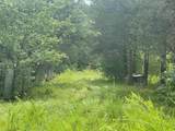2607 Royalty Ridge Road - Photo 10