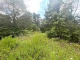 2607 Royalty Ridge Road - Photo 13