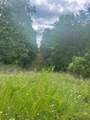 2607 Royalty Ridge Road - Photo 14