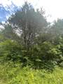 2607 Royalty Ridge Road - Photo 15