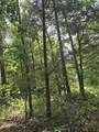 2607 Royalty Ridge Road - Photo 2