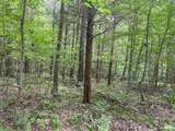 2607 Royalty Ridge Road - Photo 22