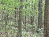 2607 Royalty Ridge Road - Photo 28