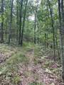 2607 Royalty Ridge Road - Photo 29