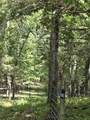 2607 Royalty Ridge Road - Photo 3