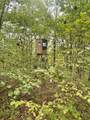 2607 Royalty Ridge Road - Photo 31