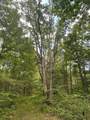 2607 Royalty Ridge Road - Photo 32