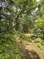 2607 Royalty Ridge Road - Photo 38