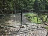 2607 Royalty Ridge Road - Photo 49