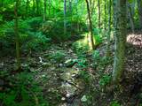 692 Little Doe Creek Road - Photo 32