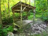 692 Little Doe Creek Road - Photo 4