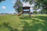 2630 Steadmantown Lane - Photo 47