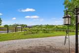 495 Shadrick Ferry Road - Photo 48