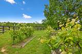 495 Shadrick Ferry Road - Photo 49