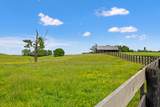 495 Shadrick Ferry Road - Photo 50