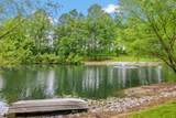 495 Shadrick Ferry Road - Photo 52