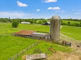 495 Shadrick Ferry Road - Photo 57
