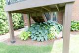 248 Clairmont Drive - Photo 41