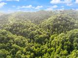 492 Sugar Camp Road - Photo 28