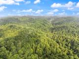 492 Sugar Camp Road - Photo 29