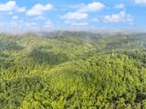 492 Sugar Camp Road - Photo 30