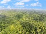 492 Sugar Camp Road - Photo 31