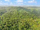 492 Sugar Camp Road - Photo 36
