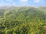 492 Sugar Camp Road - Photo 37