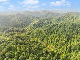 492 Sugar Camp Road - Photo 38