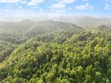 492 Sugar Camp Road - Photo 39