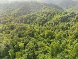 492 Sugar Camp Road - Photo 41