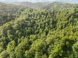 492 Sugar Camp Road - Photo 42