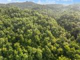 492 Sugar Camp Road - Photo 43