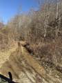 9999 Hales Fork Road - Photo 10