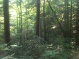 9999 Hales Fork Road - Photo 13