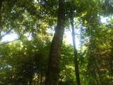 9999 Hales Fork Road - Photo 15