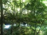 9999 Hales Fork Road - Photo 16