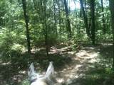 9999 Hales Fork Road - Photo 19