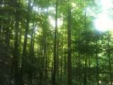 9999 Hales Fork Road - Photo 20