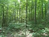 9999 Hales Fork Road - Photo 23