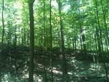9999 Hales Fork Road - Photo 24