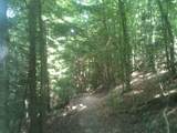 9999 Hales Fork Road - Photo 33