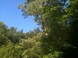 9999 Hales Fork Road - Photo 34