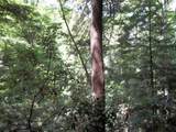 9999 Hales Fork Road - Photo 37