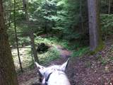9999 Hales Fork Road - Photo 42