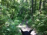 9999 Hales Fork Road - Photo 43