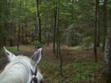 9999 Hales Fork Road - Photo 44